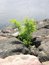 image124