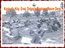 image36